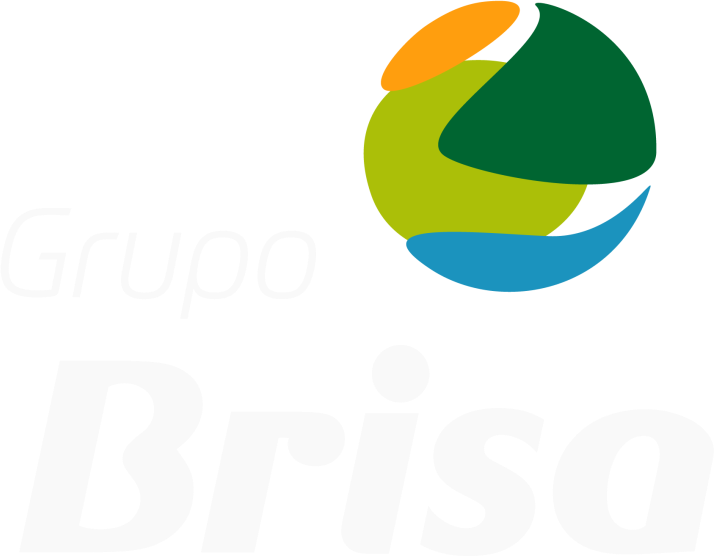 Grupo Brisa